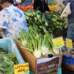 farmers market shopping tips