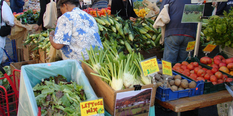 farmers market shopping tips